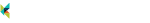 Kıbrıs Web Tasarım